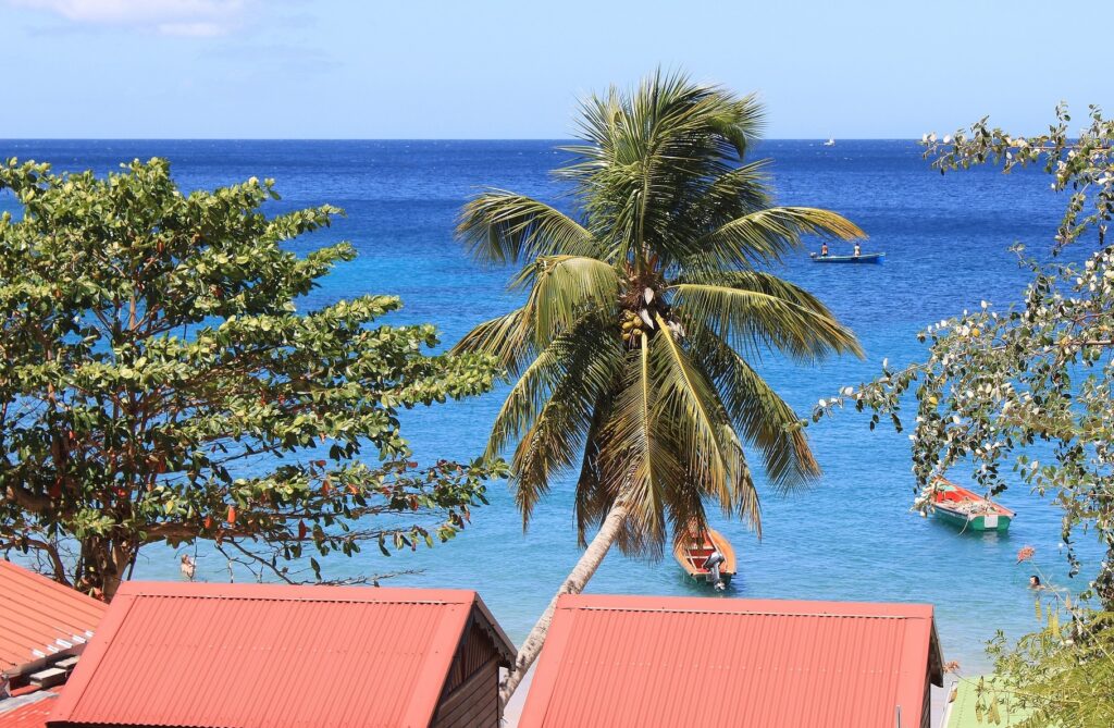 Partir en décembre au soleil en Martinique